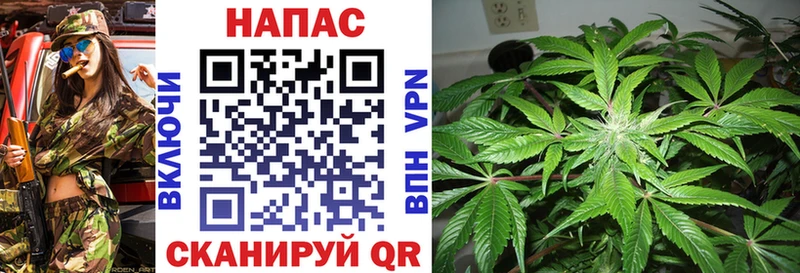 Шишки марихуана OG Kush  Купить где  Усть-Кут 